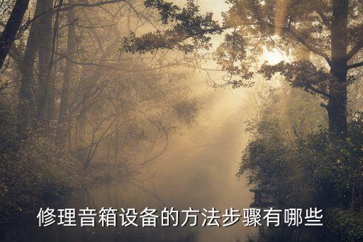 修理音箱设备的方法步骤有哪些