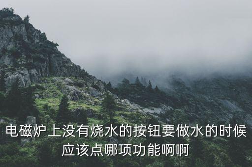 电磁炉上没有烧水的按钮要做水的时候应该点哪项功能啊啊