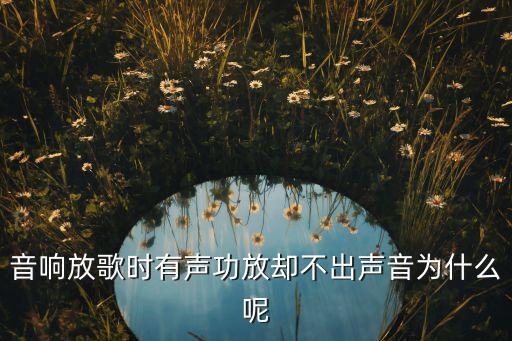 音响放歌时有声功放却不出声音为什么呢