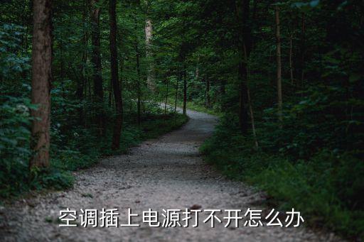 空调插上电源打不开怎么办