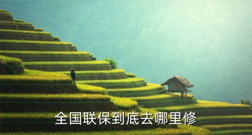 全国联保到底去哪里修