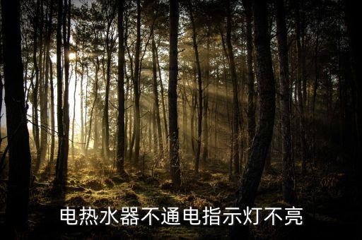 电热水器不通电指示灯不亮