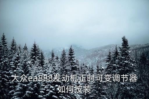 大众ea888发动机正时可变调节器如何按装
