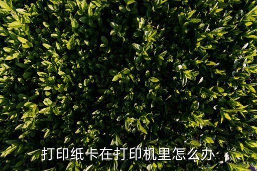 打印机里面卡纸怎么办，打印纸卡在打印机里怎么办