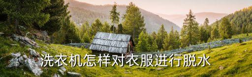 洗衣机怎么用脱水，洗衣机该按什么按键才可以脱水烘干