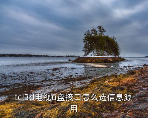 tcl3d电视u盘接口怎么选信息源用