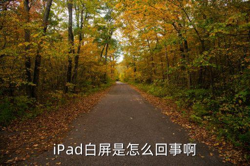 平板白屏怎么办，ipad白屏了怎么办