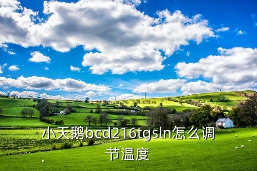 小天鹅热水器调节温度怎么调温度，小天鹅强排恒温热水器怎么调高水温
