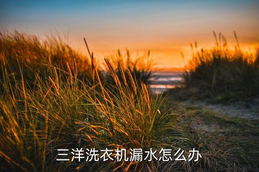 三洋洗衣机漏水怎么办