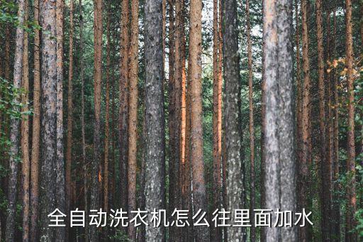 全自动洗衣机怎么往里面加水