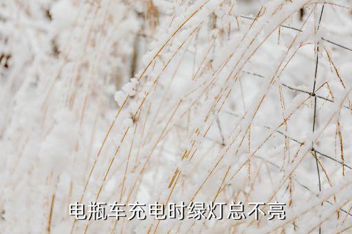 电动车充电时灯不亮怎么回事，电动车充电指示灯怎么不亮
