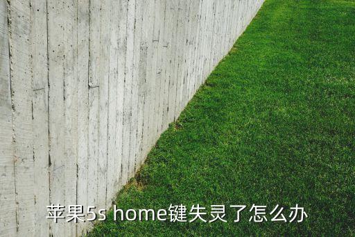 5s按键失灵怎么修，苹果5s按键突然不能用怎么办