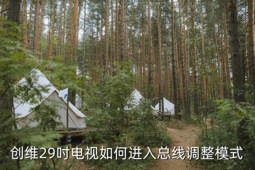创维29吋电视如何进入总线调整模式