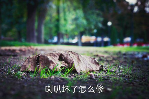 喇叭怎么修理，喇叭坏了怎么修