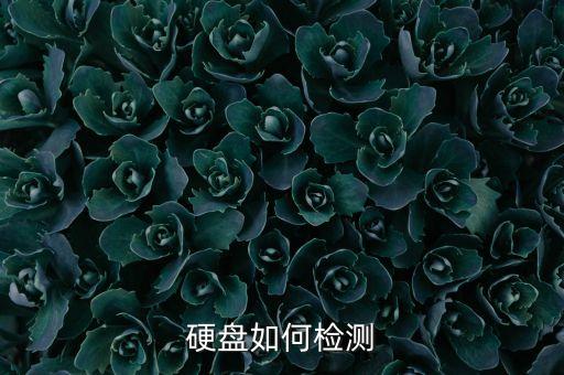 硬盘如何检测