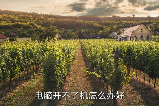 电脑开不了机怎么办好