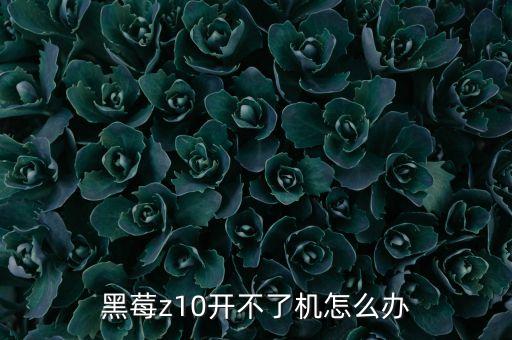 黑莓z10CPu坏了怎么修理，手机CPU坏啦怎么修