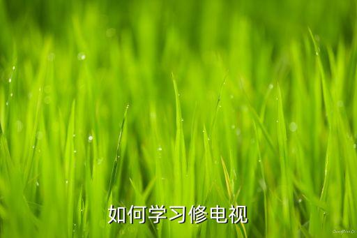 如何学习修电视
