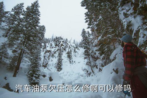 汽车油泵欠压怎么修啊可以修吗