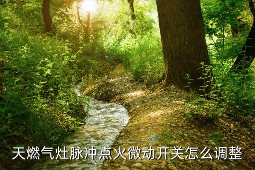 天燃气灶脉冲点火微动开关怎么调整
