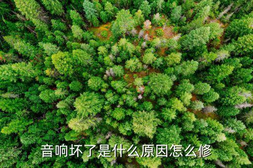 音响坏了是什么原因怎么修