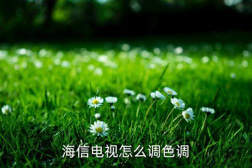 海信电视怎么调色调