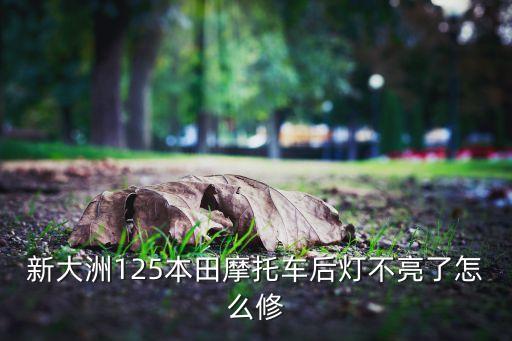 新大洲125本田摩托车后灯不亮了怎么修