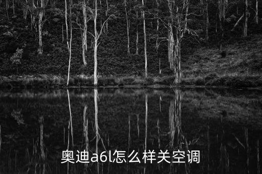 奥迪a6l怎么样关空调