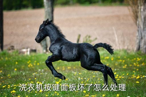 洗衣机按键面板坏了怎么处理