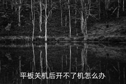 平板关机后开不了机怎么办
