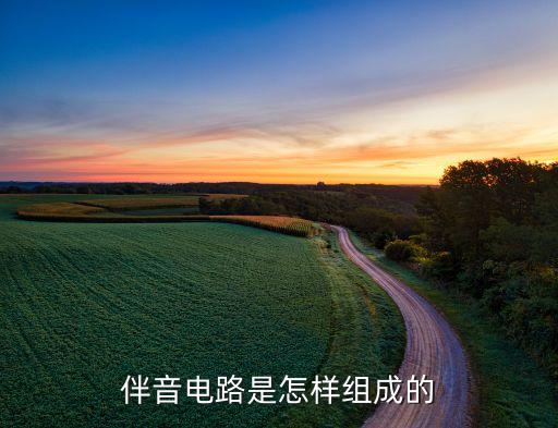 伴音电路是怎样组成的