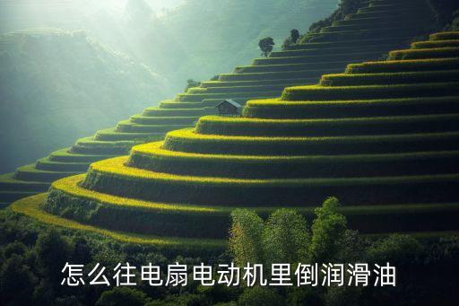 怎么往电扇电动机里倒润滑油