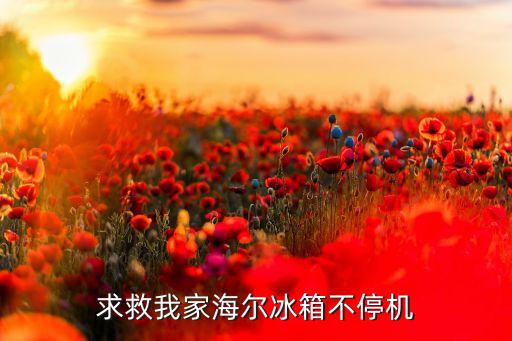 求救我家海尔冰箱不停机