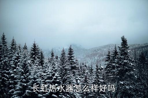 长虹热水器怎么样好吗