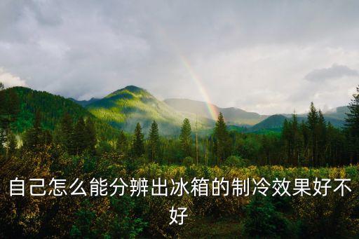 自己怎么能分辨出冰箱的制冷效果好不好