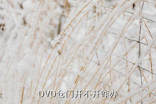 dvd无法开仓怎么办，我的DVD刻录机开不开仓门怎么办