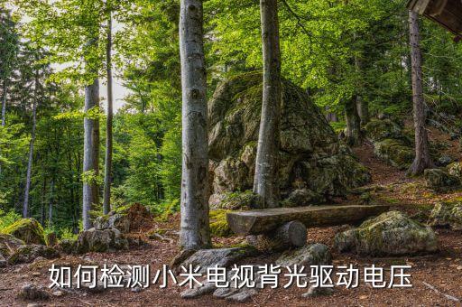 如何检测小米电视背光驱动电压