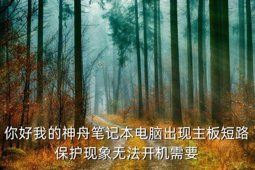 你好我的神舟笔记本电脑出现主板短路保护现象无法开机需要