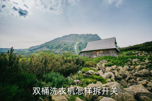 双桶洗衣机怎样拆开关