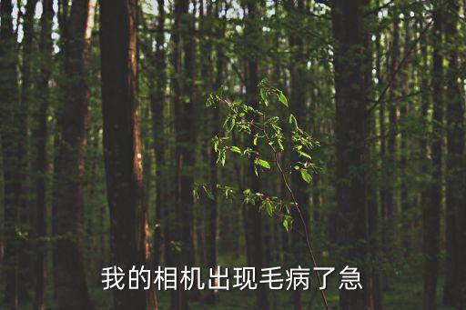 我的相机出现毛病了急