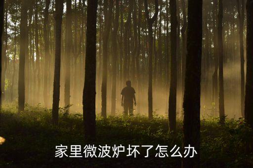 微波炉烧坏了怎么办，微波炉坏了怎么修啊
