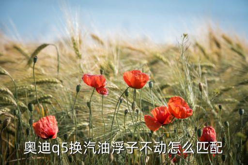 Q5故障码怎么匹配设定，奥迪q5转向角传感器怎么匹配