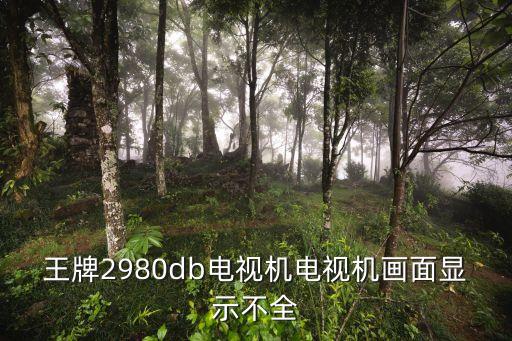 王牌2980db电视机电视机画面显示不全