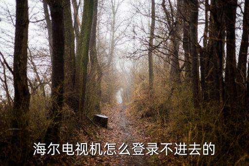 海尔电视机怎么登录不进去的