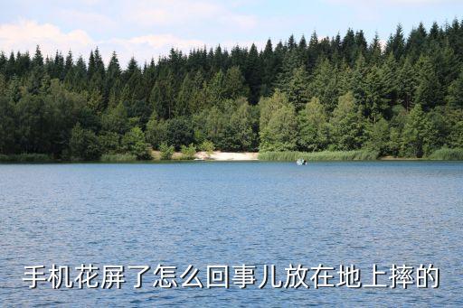 手机花屏了怎么回事儿放在地上摔的
