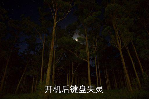 开机后键盘失灵