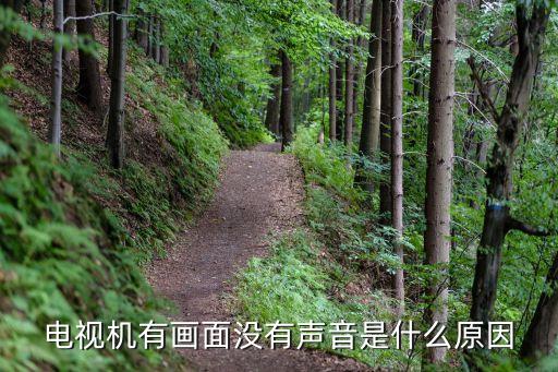 电视机有画面没有声音是什么原因