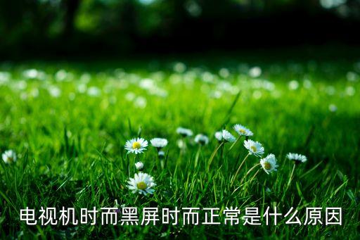 电视机时而黑屏时而正常是什么原因