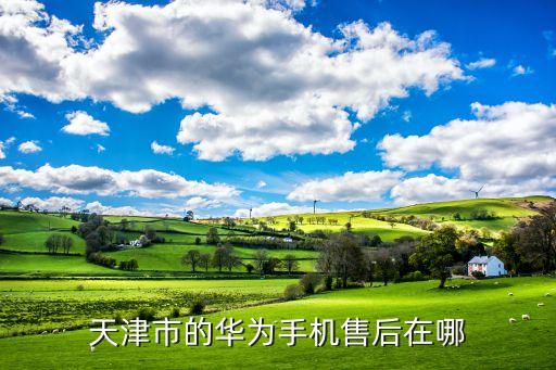 天津市的华为手机售后在哪