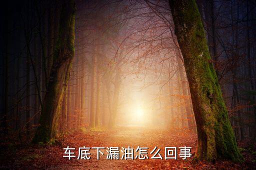 车底下漏油怎么回事